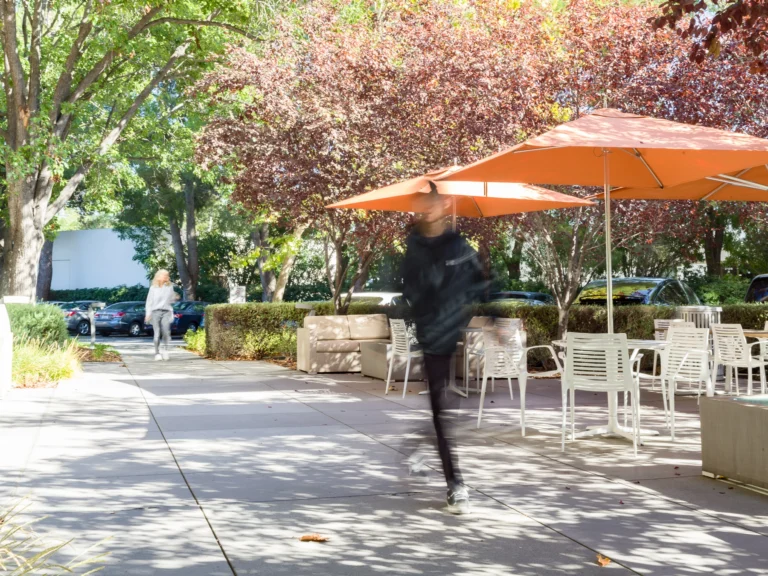 Working and Living in San Jose: A City Guide